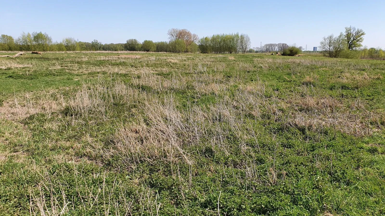 graslanden en ruigtes oosterhoutse waarden huidige situatie nov 2022