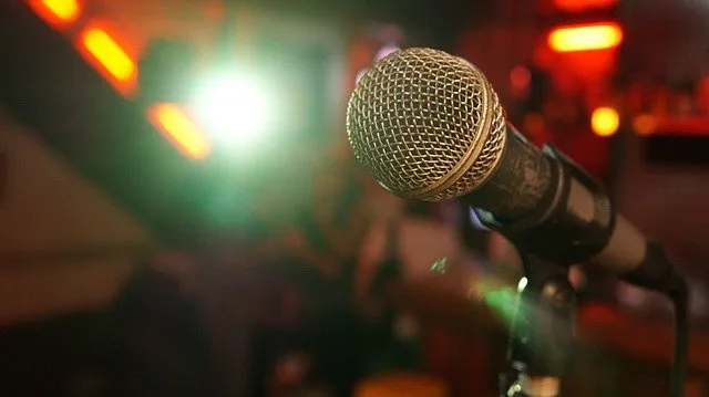 mic g202c3a1b2 640