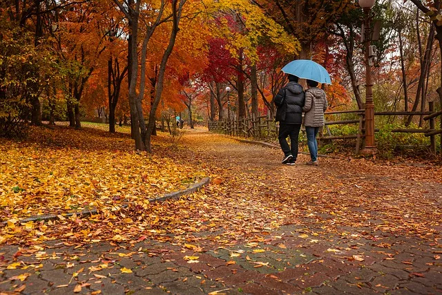 old couple 4872362 640
