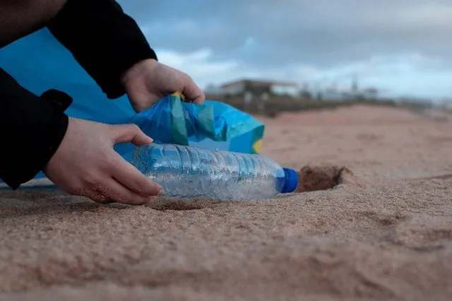 person holding clear plastic bottle 3480494
