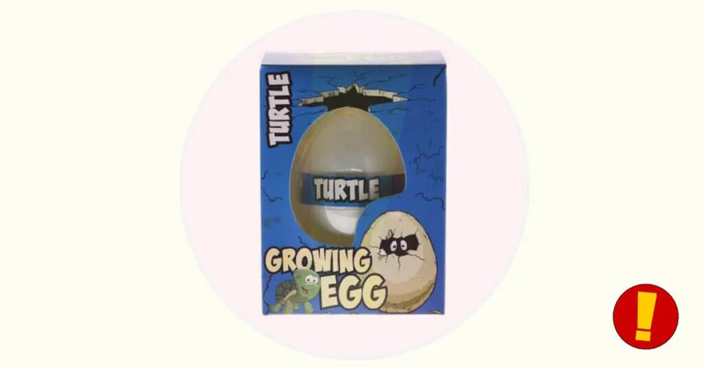 recall action free easy turtle egg productfoto 1024x536 1