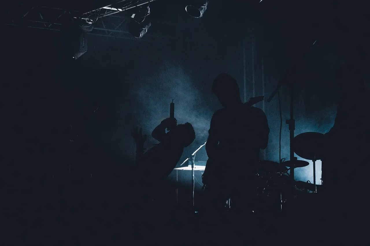 rockconcert marcisio pixabay