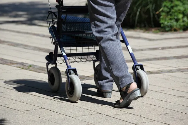 rollator 3480878 640
