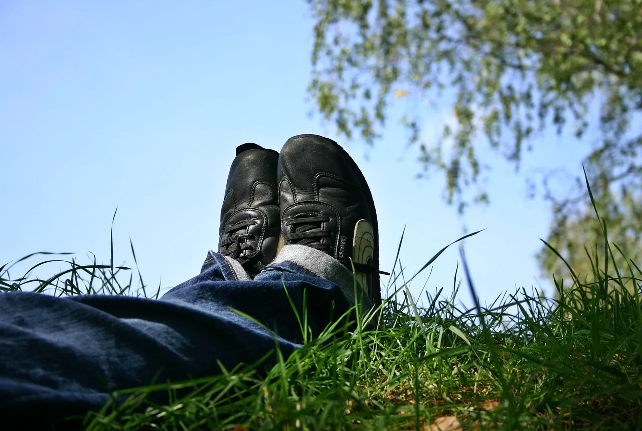 schoenen catkin pixabay