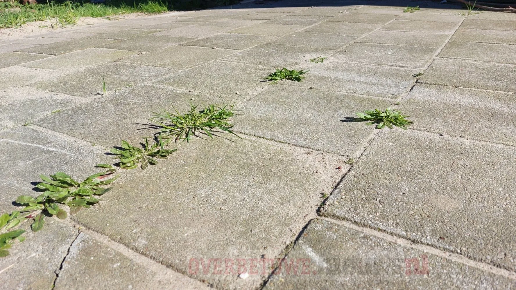 tegelruilactie tegelwippen