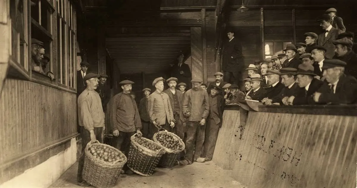 veiling in de loods achter hotel vvob