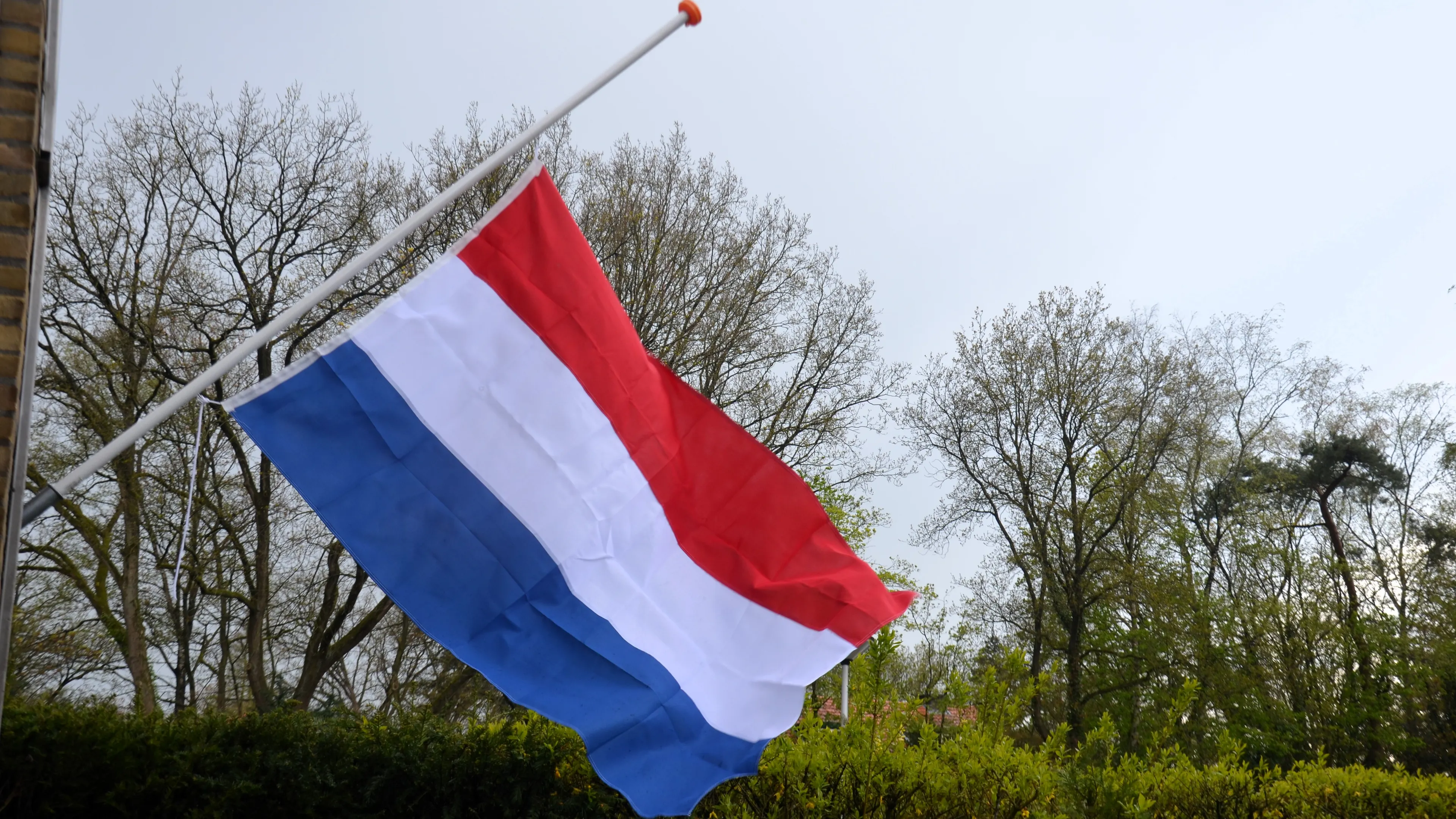 vlag half stok dm van hellesem