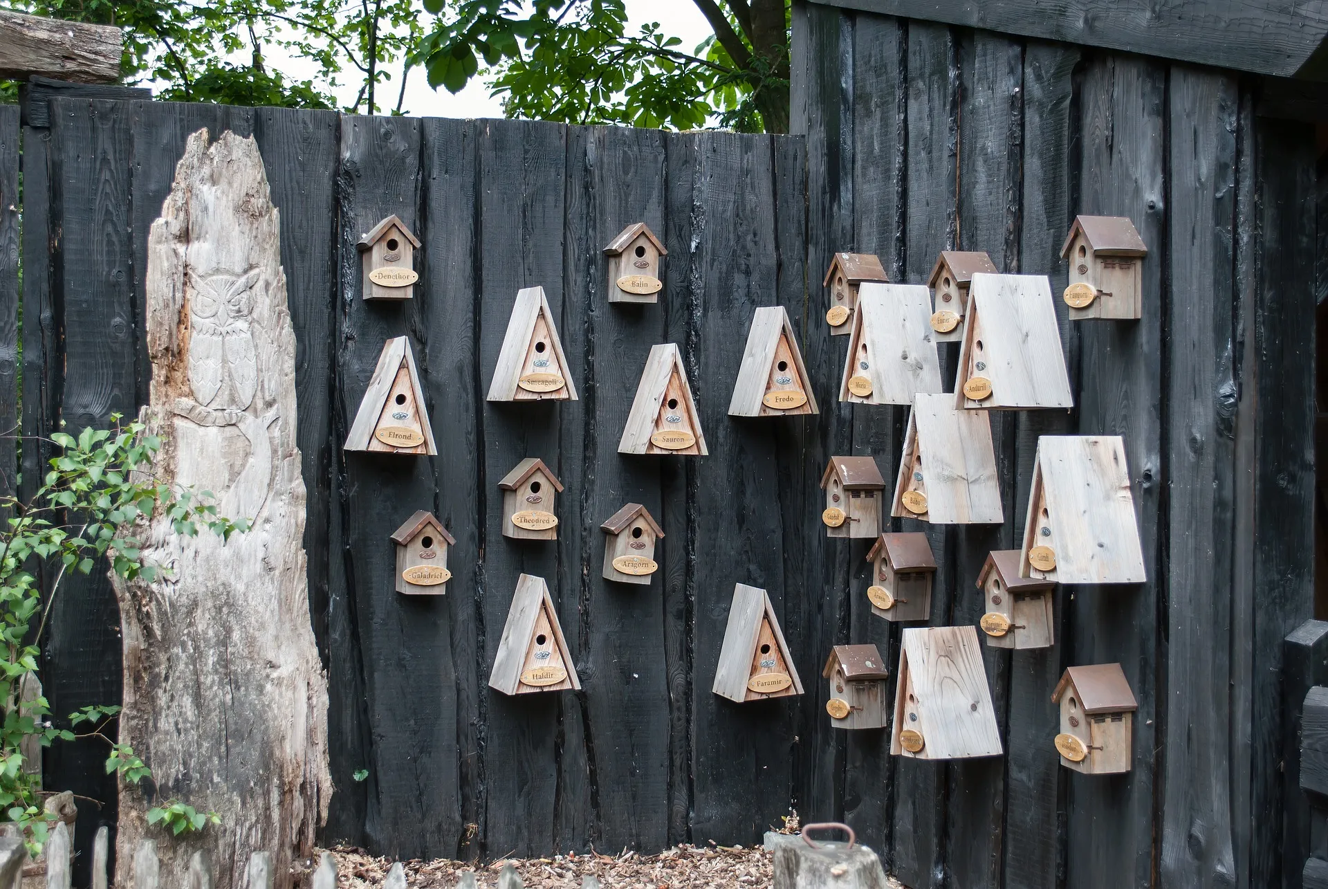 vogelhuisjes cor gaasbeek pixabay
