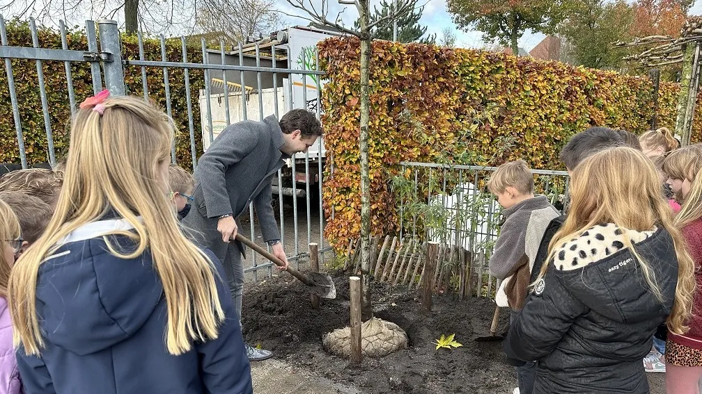 wethouder rik van den dam plant samen met leerlingen twee bomen op schoolplein sint willibrordusschool in herveld