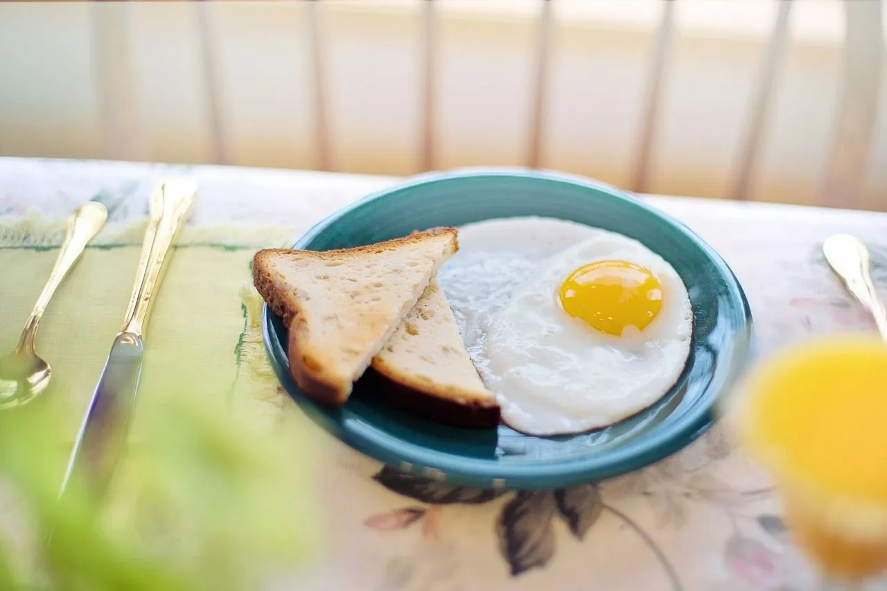 brood met ei jillwellington via pixabay
