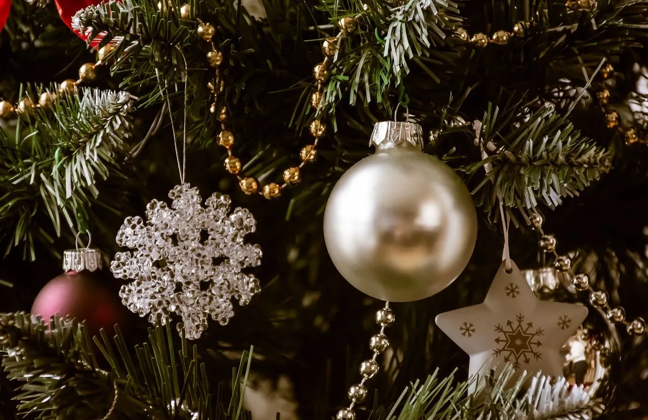 kerstboom hunt er pixabay