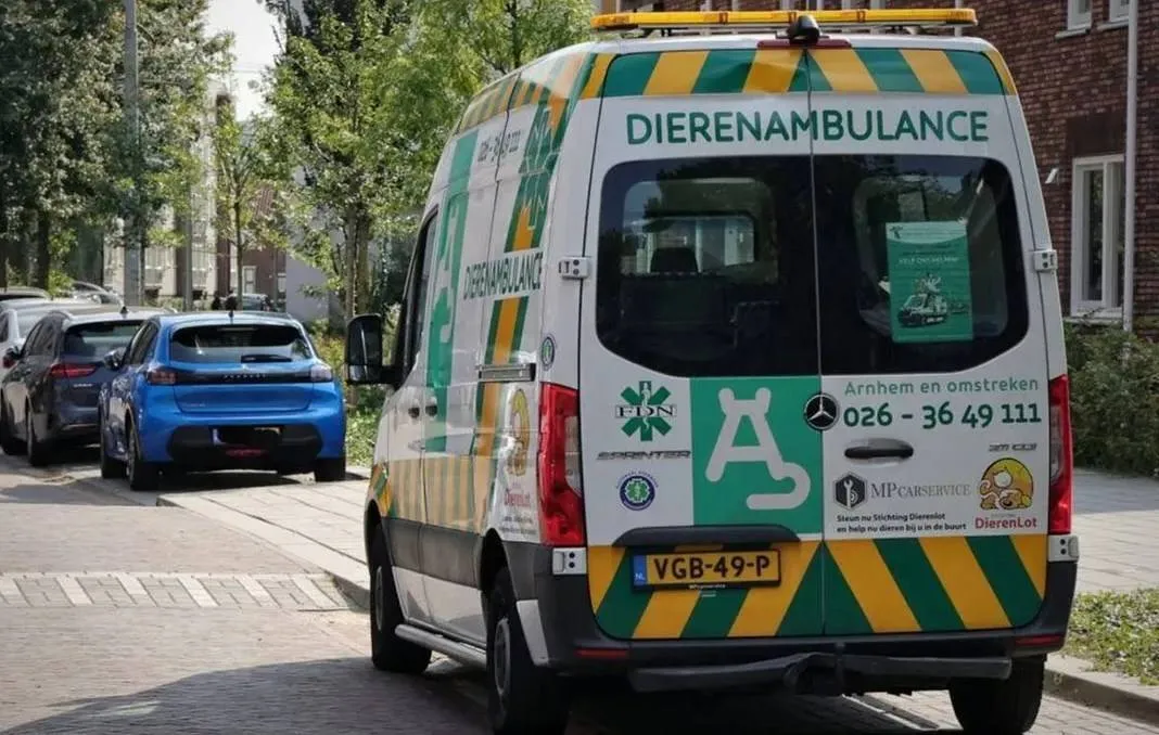 dierentehuis arnhem en omstreken