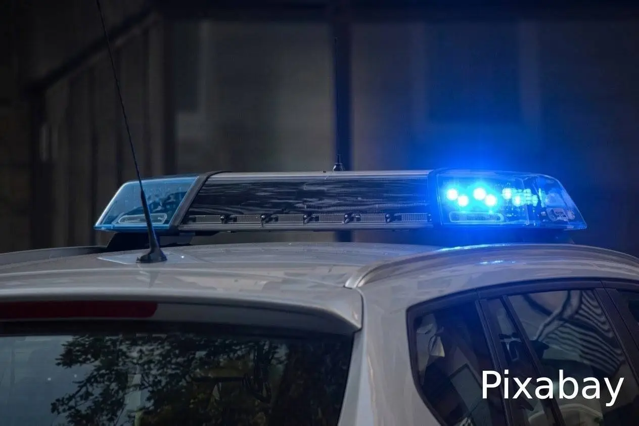 Politie 2