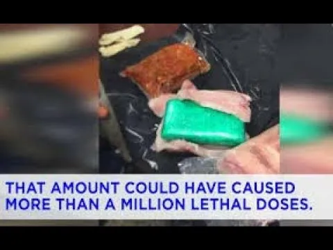 damn son dealer wordt gepakt met 10 000 000 aan fentanyl verstopt in fish fillets