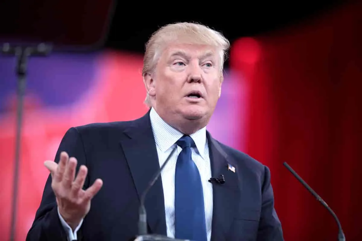 donald dump