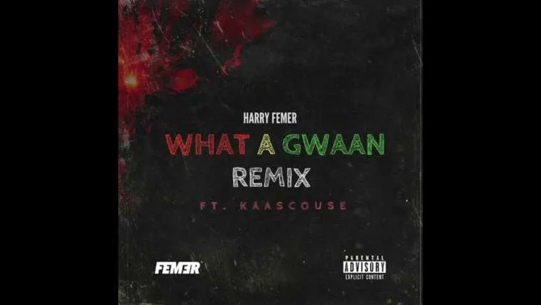 harry femer 8211 what a gwaan remix ft kaascouse