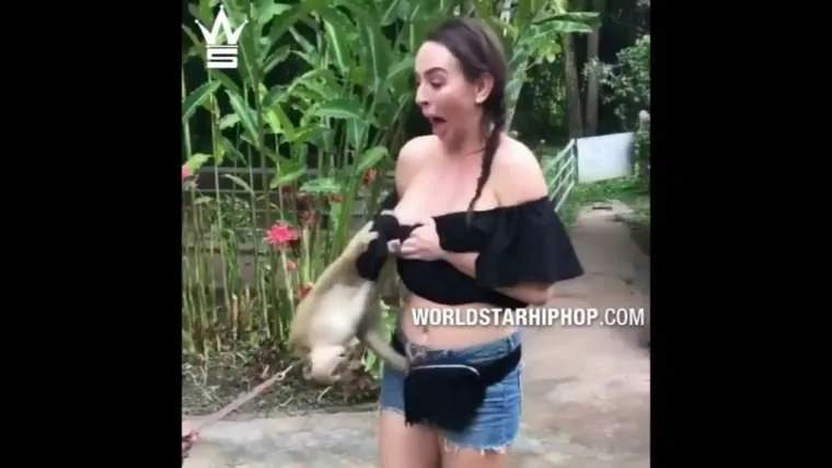 hongerig aapje probeert topje van meisje naar beneden te trekken