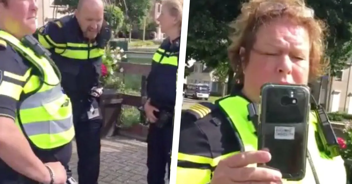 image 2021 07 31 114520