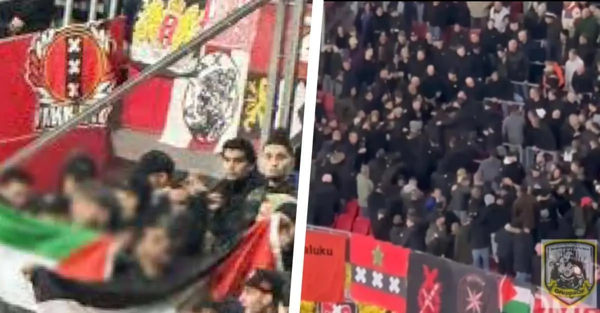 image 2023 11 06 125822