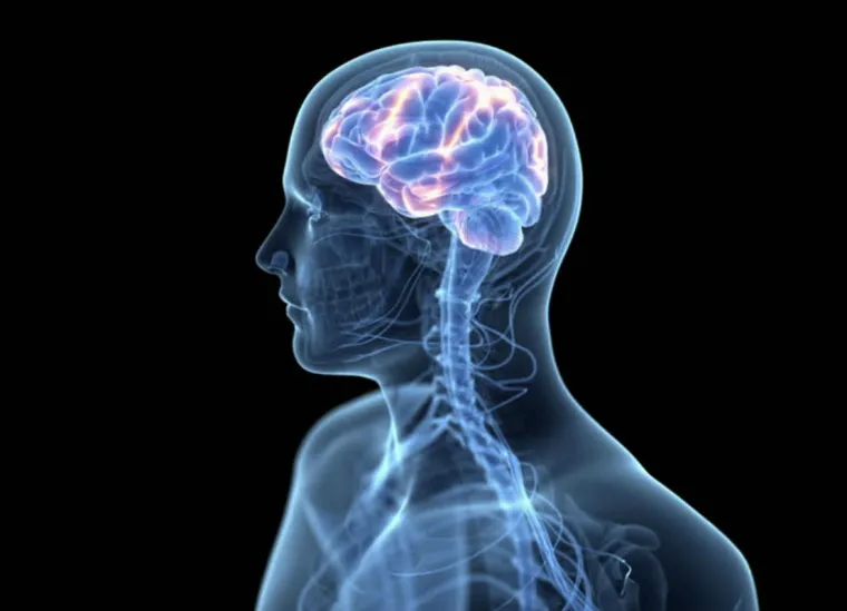 schermafbeelding 2018 09 11 om 221510