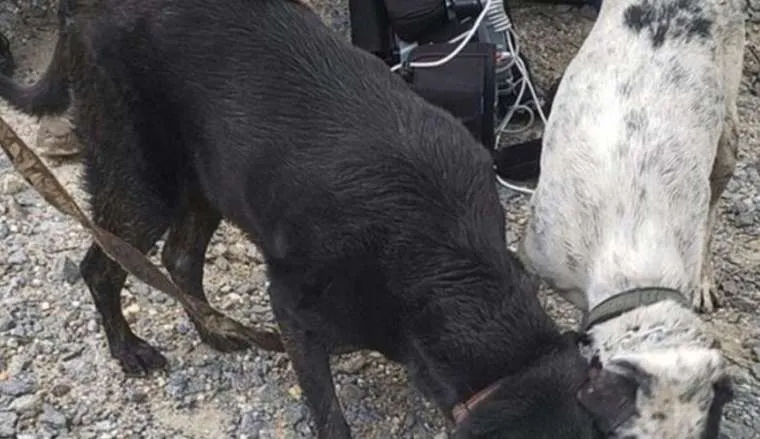 schermafbeelding 2019 07 25 om 134305