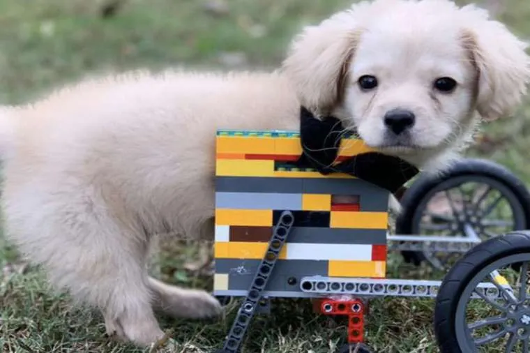 schermafbeelding 2019 10 15 om 162745