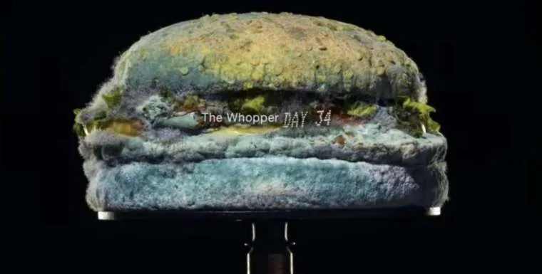 schermafbeelding 2020 02 20 om 111539