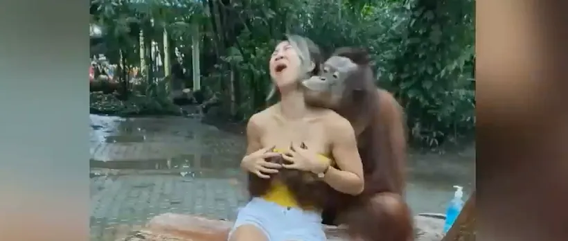 schermafbeelding 2020 10 30 om 112933