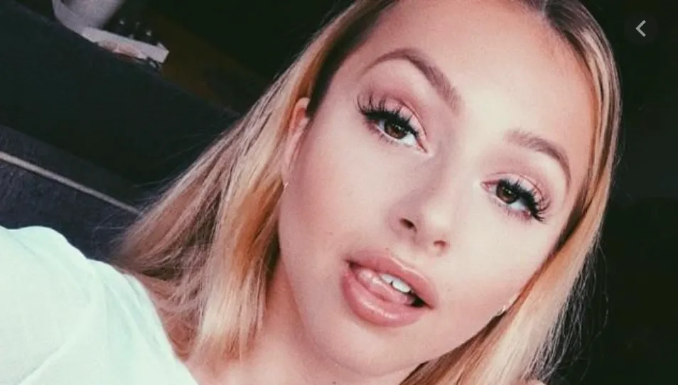 schermafbeelding 2020 11 03 om 125041