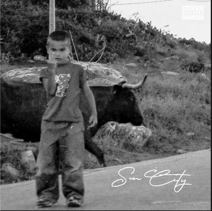 schermafbeelding 2020 11 11 om 114300