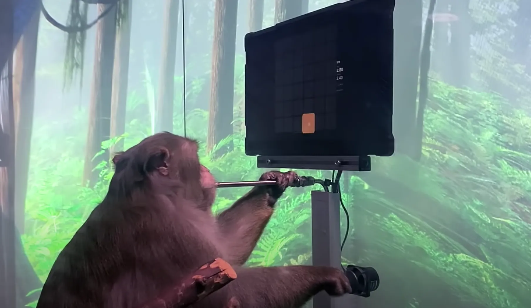 schermafbeelding 2021 04 10 om 100536