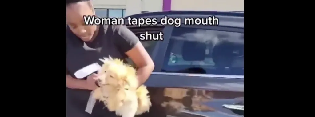 schermafbeelding 2021 09 23 om 152531