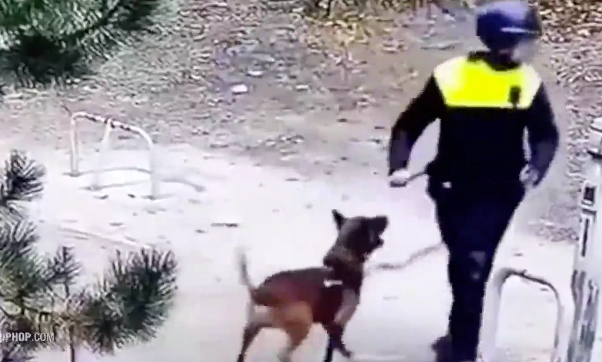Nederlandse agent aangevallen door zijn eigen politiehond