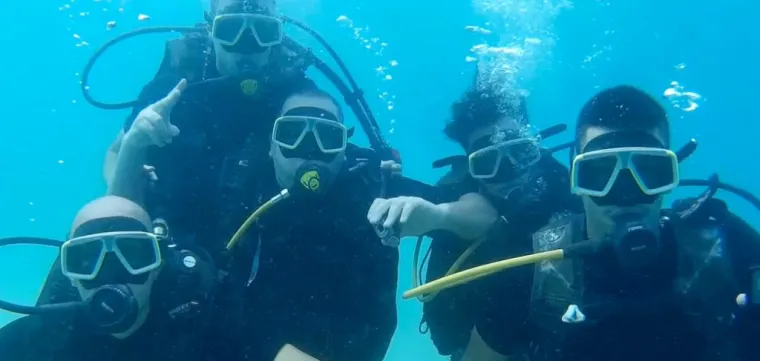 screen shot 2016 11 27 at 82711 pm