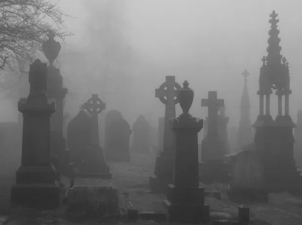 screen shot 2018 07 20 at 32339 pm