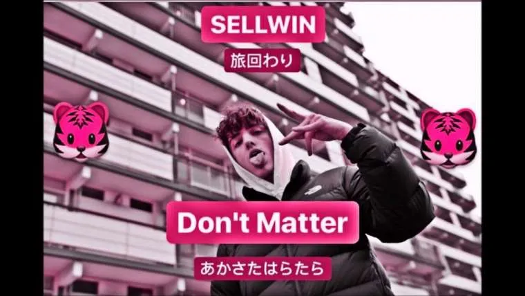 sellwin 8211 don 8217 t matter cizjc4s n s