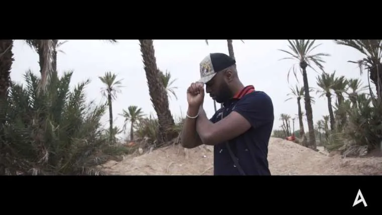 videoclip anu d 8211 details