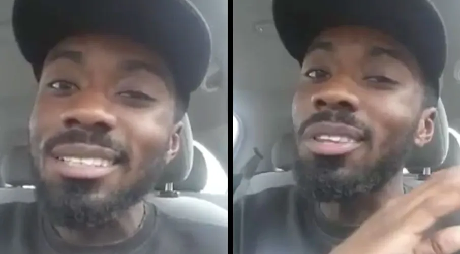 website template 244