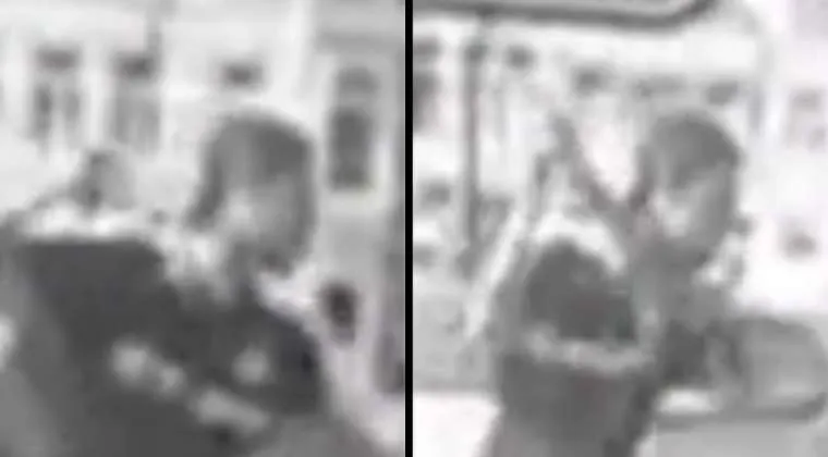 website template recovered 248