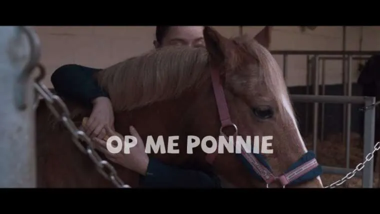 youtuber jeukvogel dropt op me pony i p v op me monnie