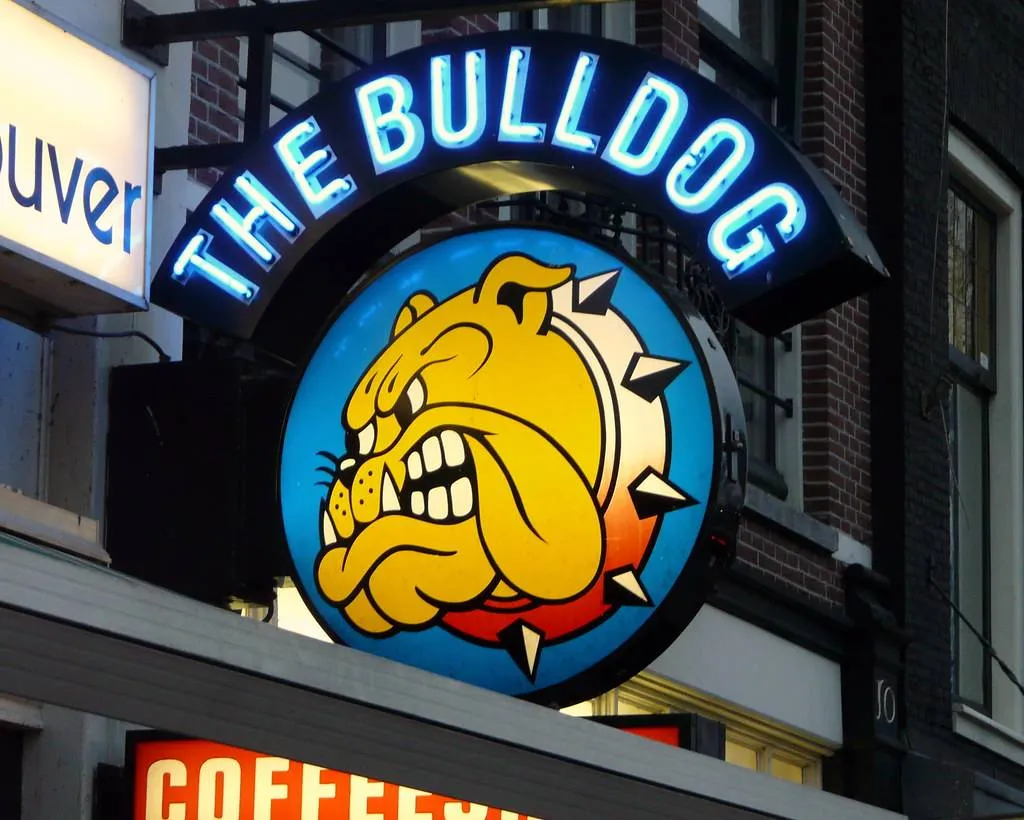 bulldog