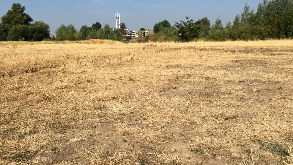 245 droogte