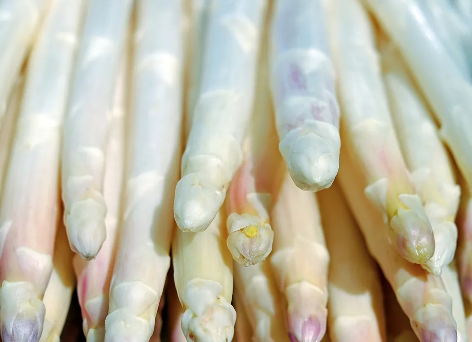 asperge pixabay