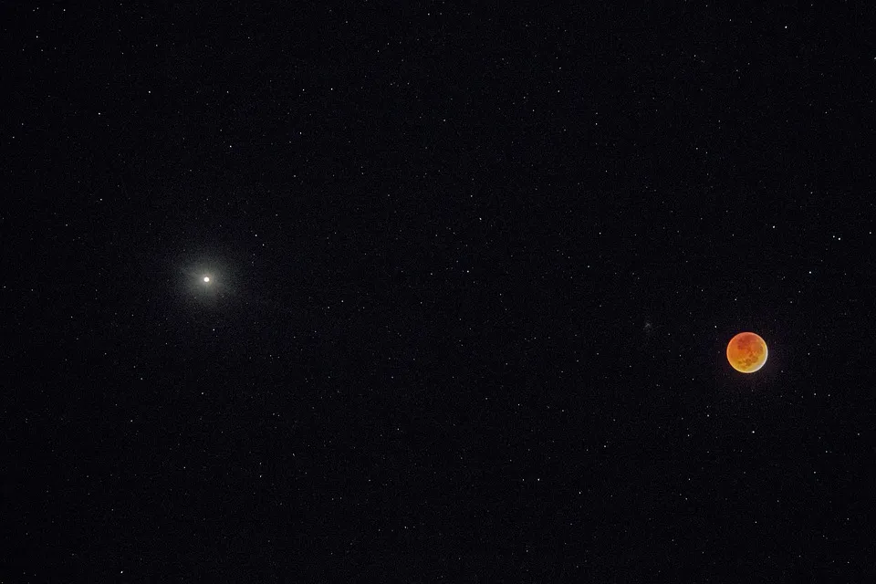 bloedmaan