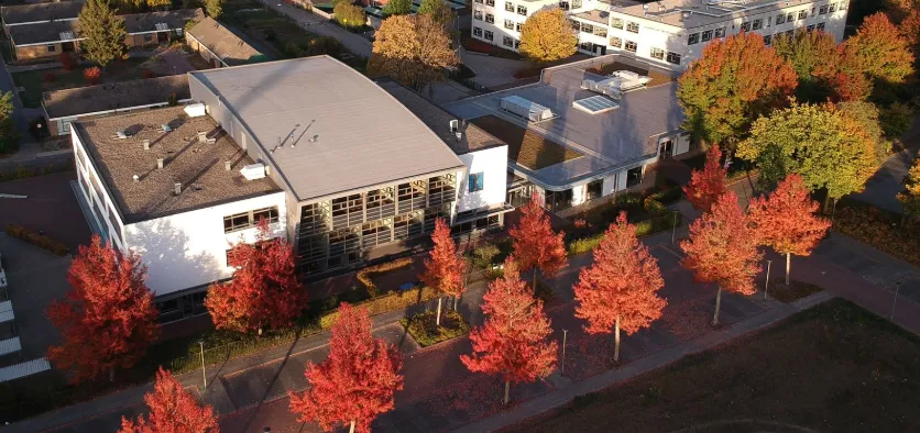 bouwens school