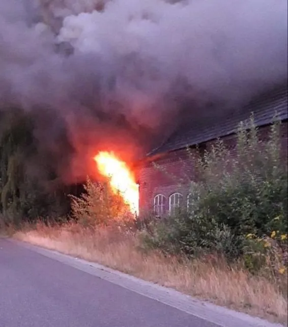 brand zelen e1563267682406