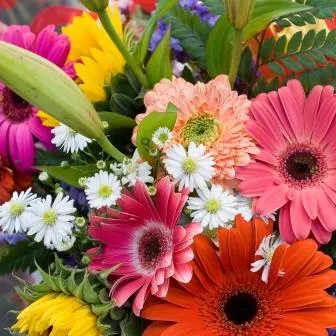 dagvdmantelzorg 2018