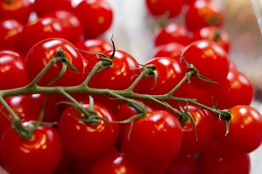 grape tomatoes 2919375 340
