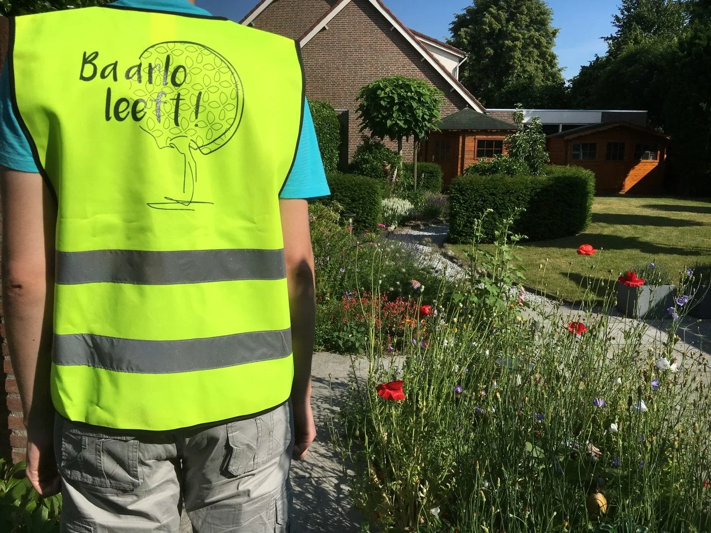 hesje baarlo steengoed achter e1528442254423