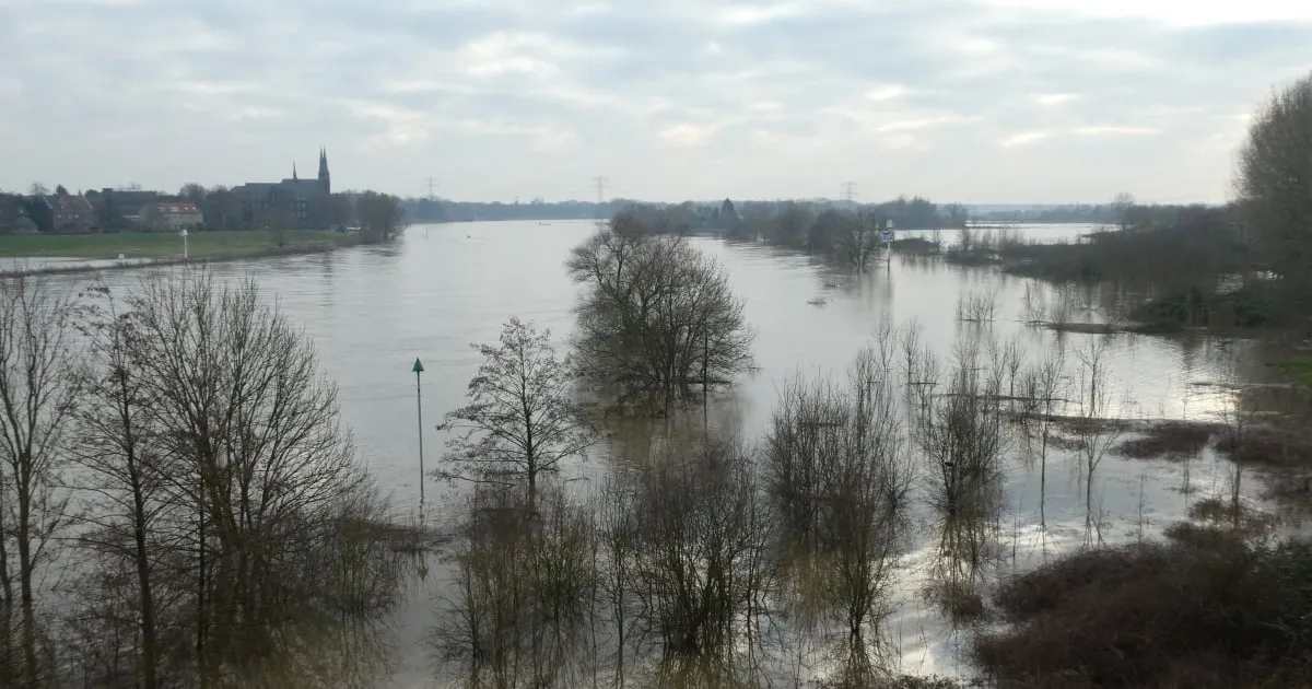 hoog water maas